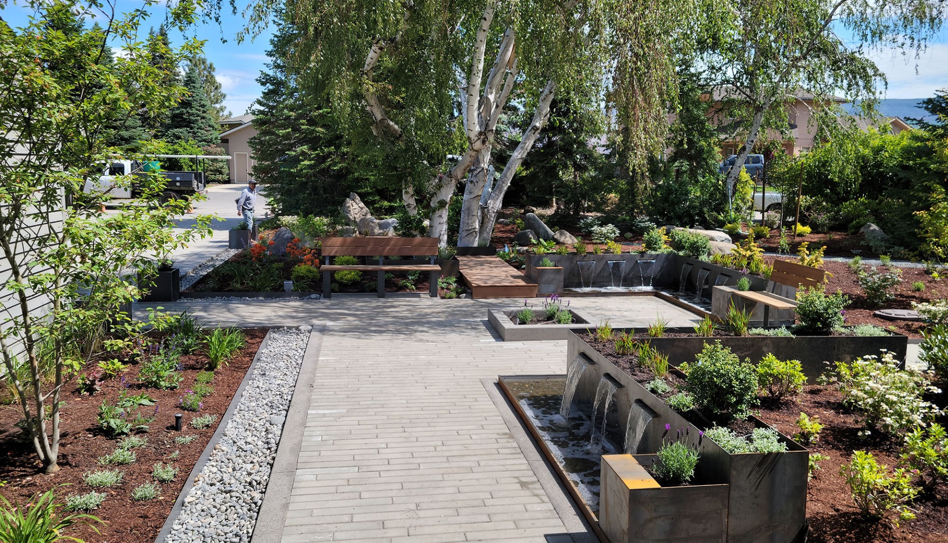 Native Landscaping