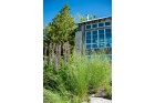 Native landscaping Wenatchee, Leavenworth, Chelan
