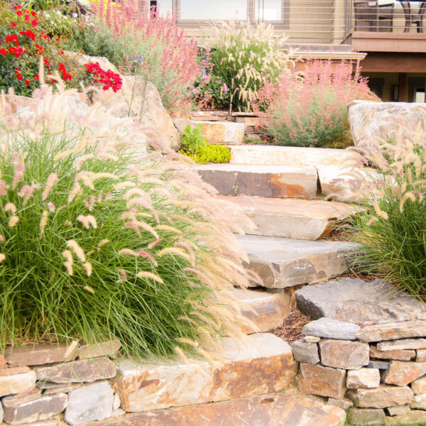 native landscaping and a stone staircase